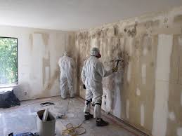 Best Attic Mold Removal  in East Pasadena, CA